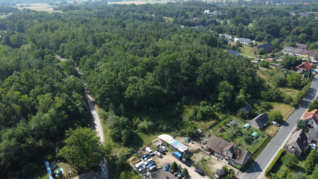 Buduj na 1000 m2 i zyskaj prywatny las