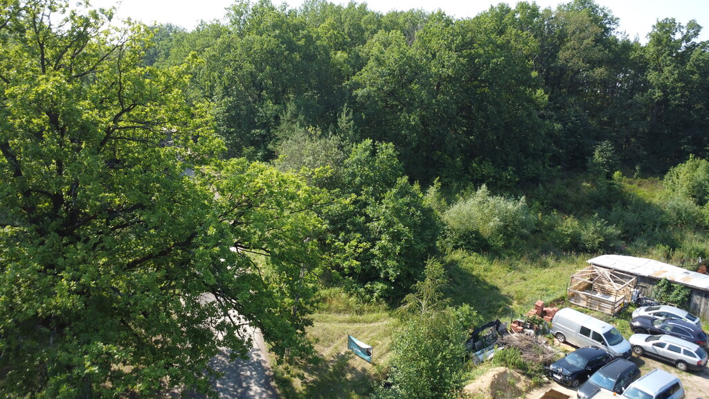 Buduj na 1000 m2 i zyskaj prywatny las