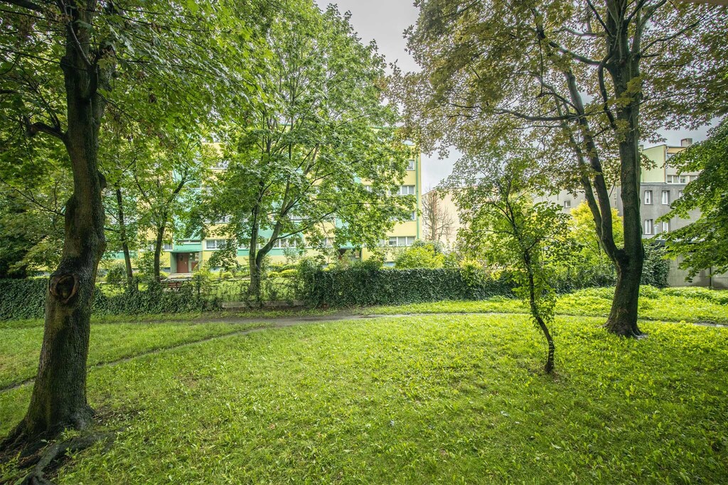 Komfortowe 3 pokoje na zielonych Kozinach