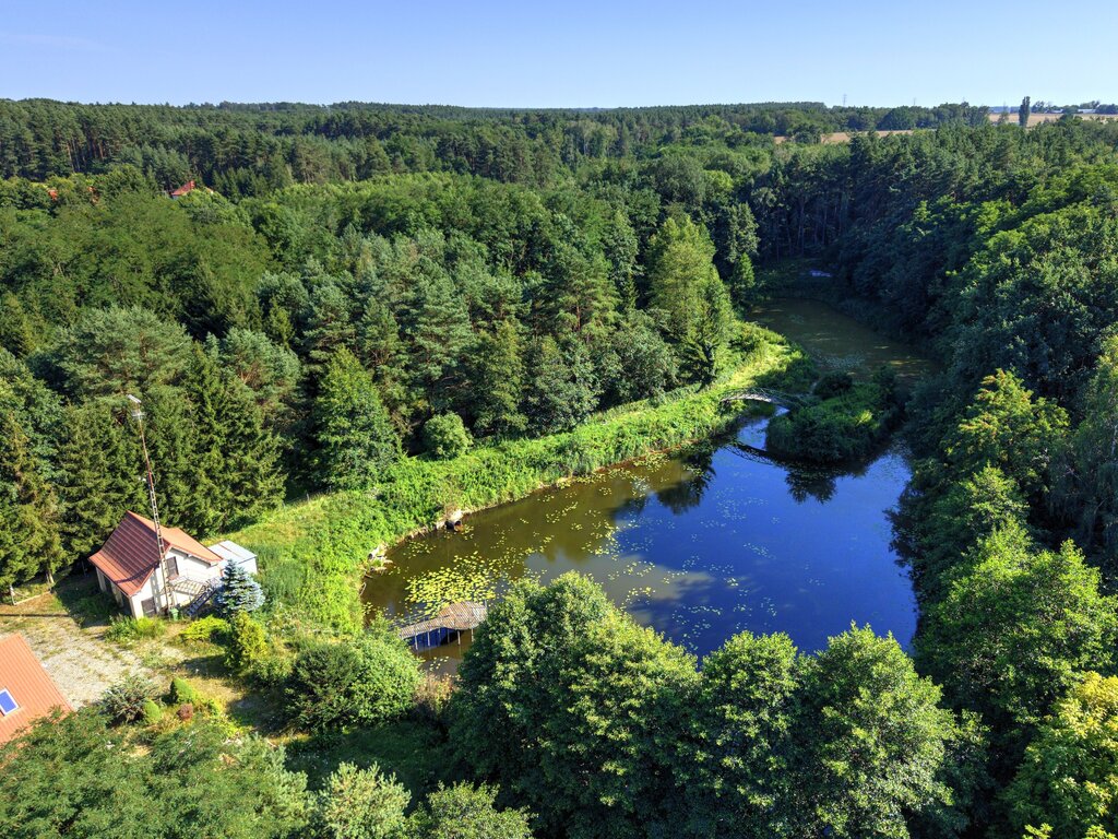 Działka Nojewo–cisza, natura i widoki-MPZP-1715m2