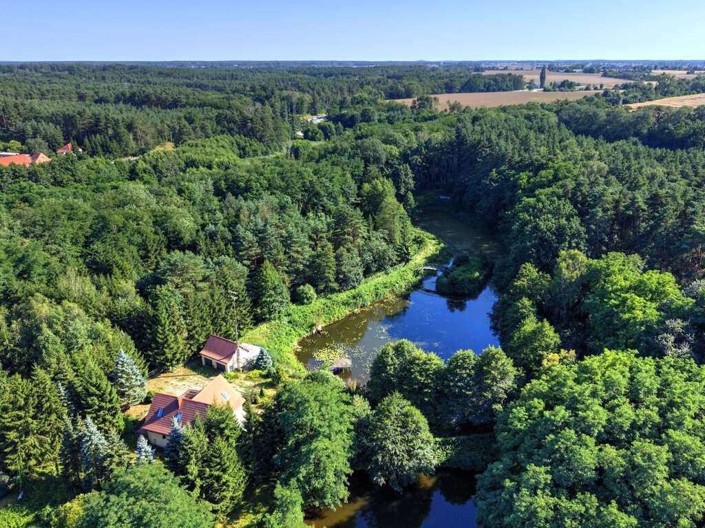 Działka Nojewo–cisza, natura i widoki-MPZP-1715m2