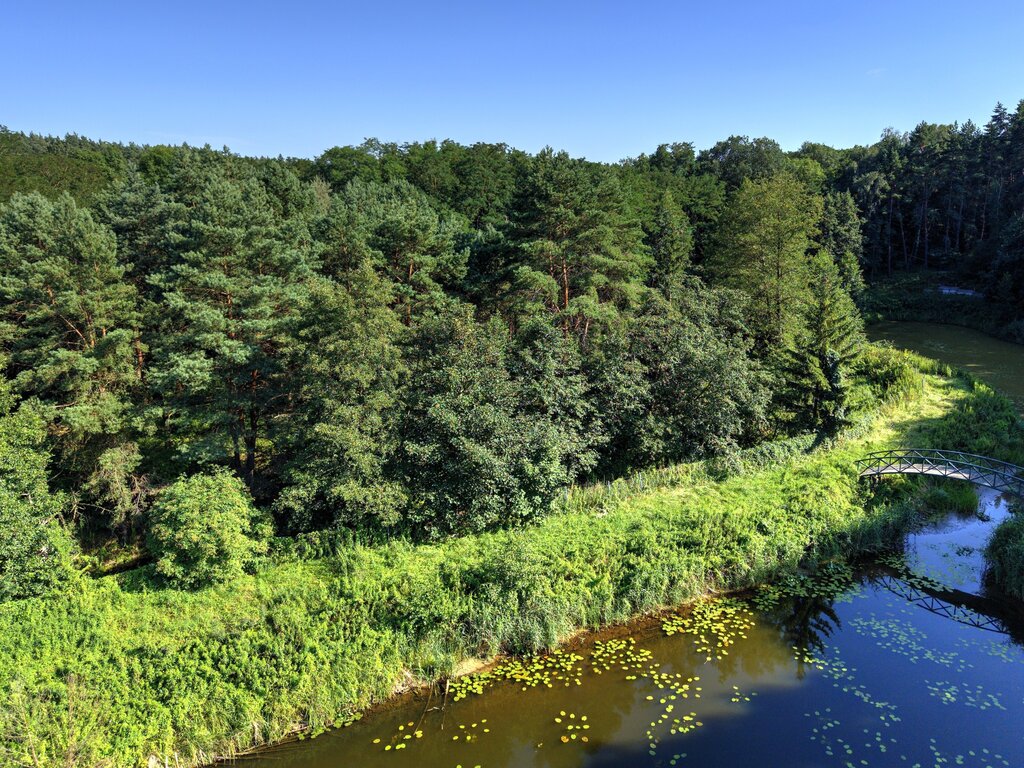 Działka Nojewo–cisza, natura i widoki-MPZP-1715m2