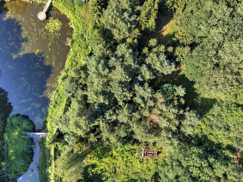 Działka Nojewo–cisza, natura i widoki-MPZP-1715m2