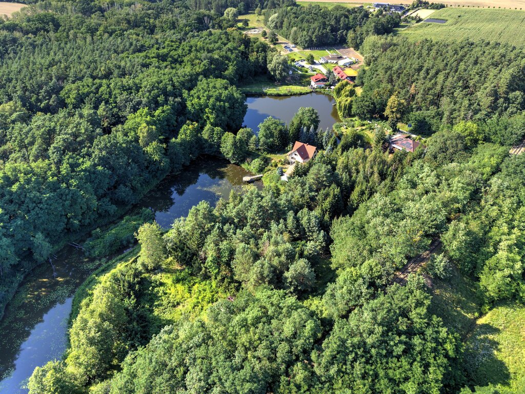 Działka Nojewo–cisza, natura i widoki-MPZP-1715m2