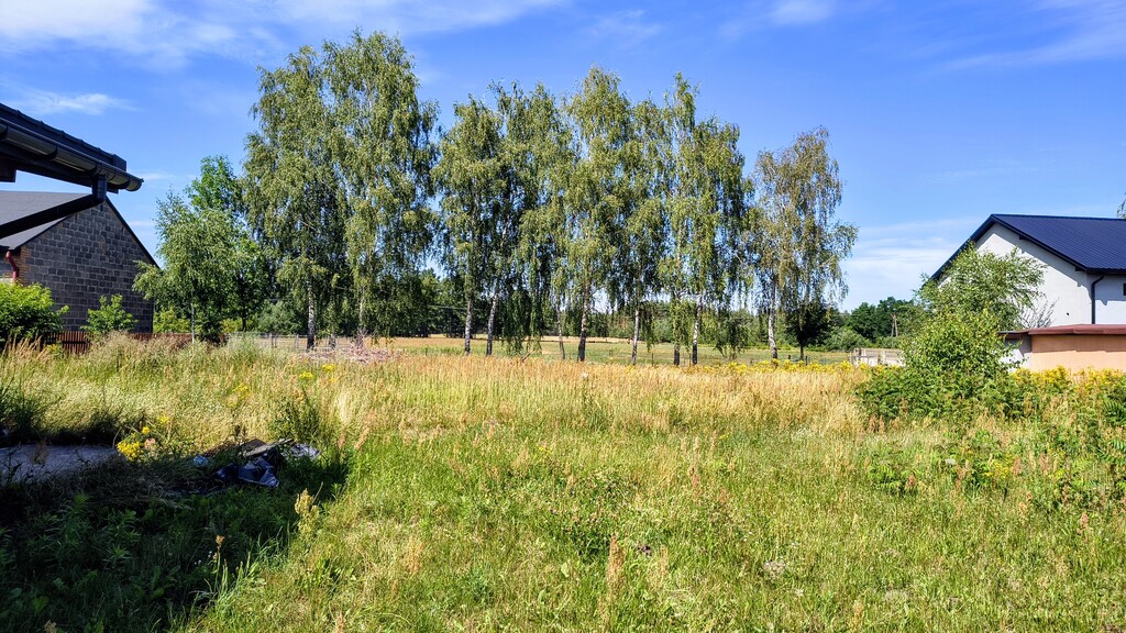 Dom 75 m² z dużą działką (19 arów) i pełnymi media