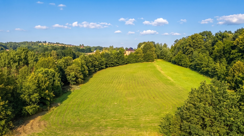 Działka 70 arów pod dom lub biznes - Tarnawa