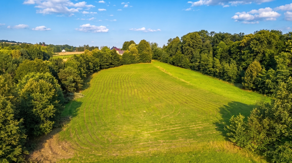 Działka 70 arów pod dom lub biznes - Tarnawa