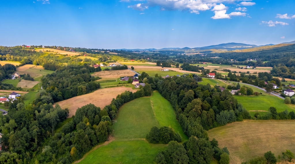 Działka 70 arów pod dom lub biznes - Tarnawa