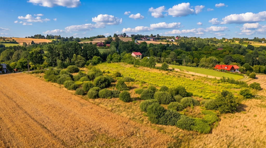 Działka 57 arów pod dom lub biznes | Tarnawa