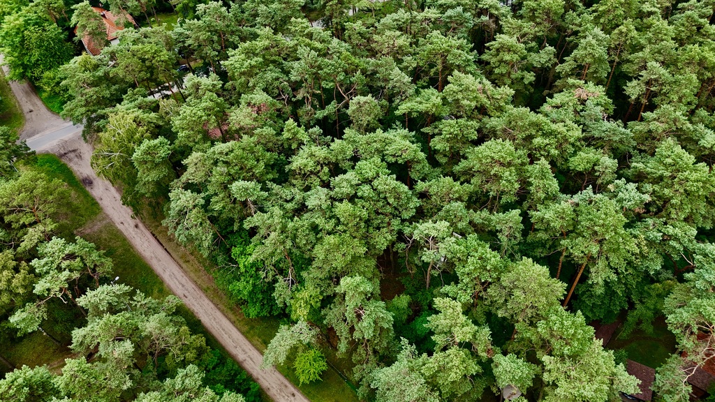 Działka budowlana 961 m2, uzbrojona, plan miejsc.