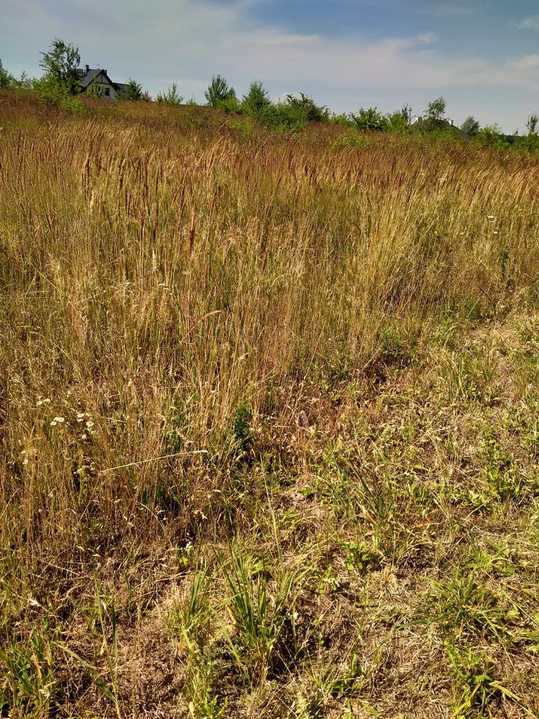 2-wie działki,1045m2,Dobra,ul. Słoneczna Dolina.