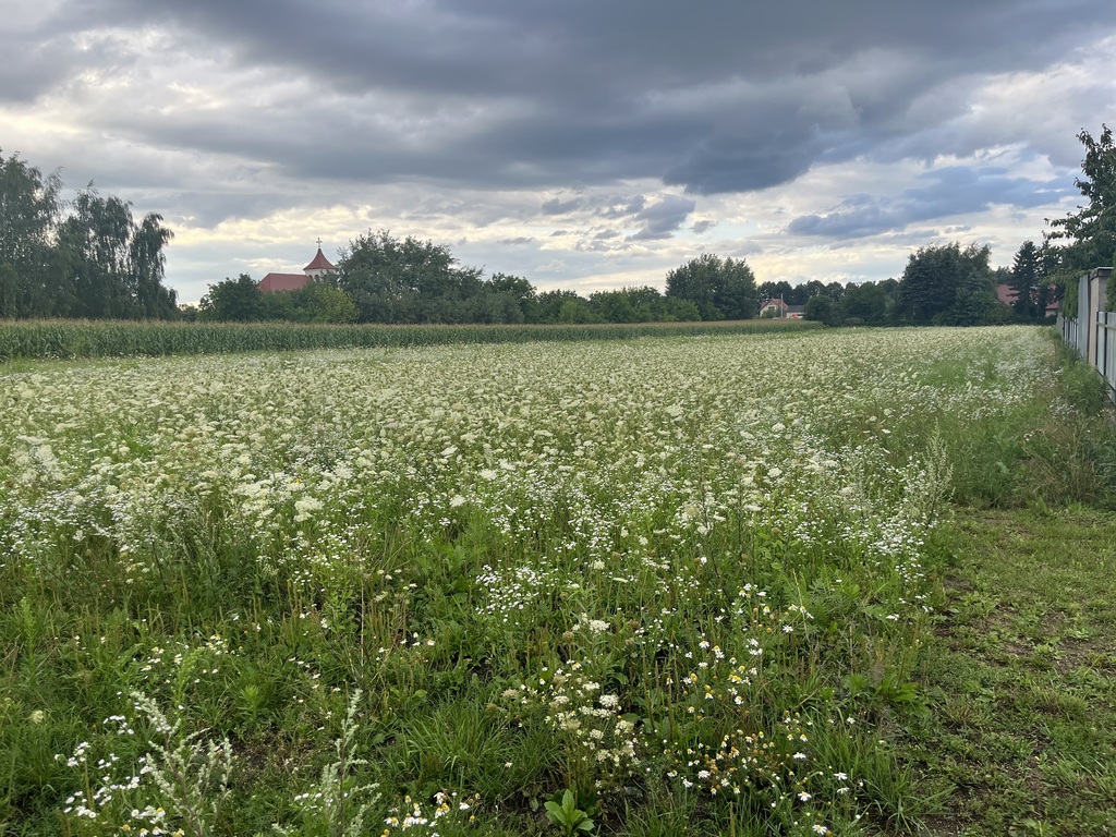 Działka inwestycyjna 6 354 m² w Zwoleniu