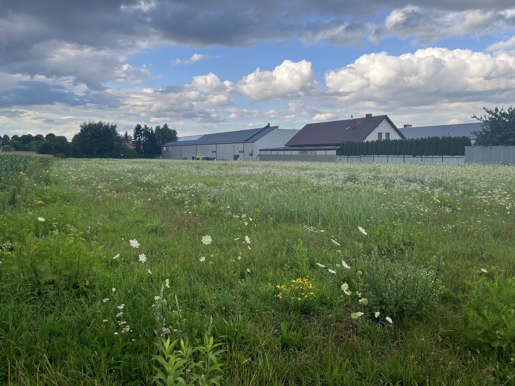 Działka inwestycyjna 6 354 m² w Zwoleniu