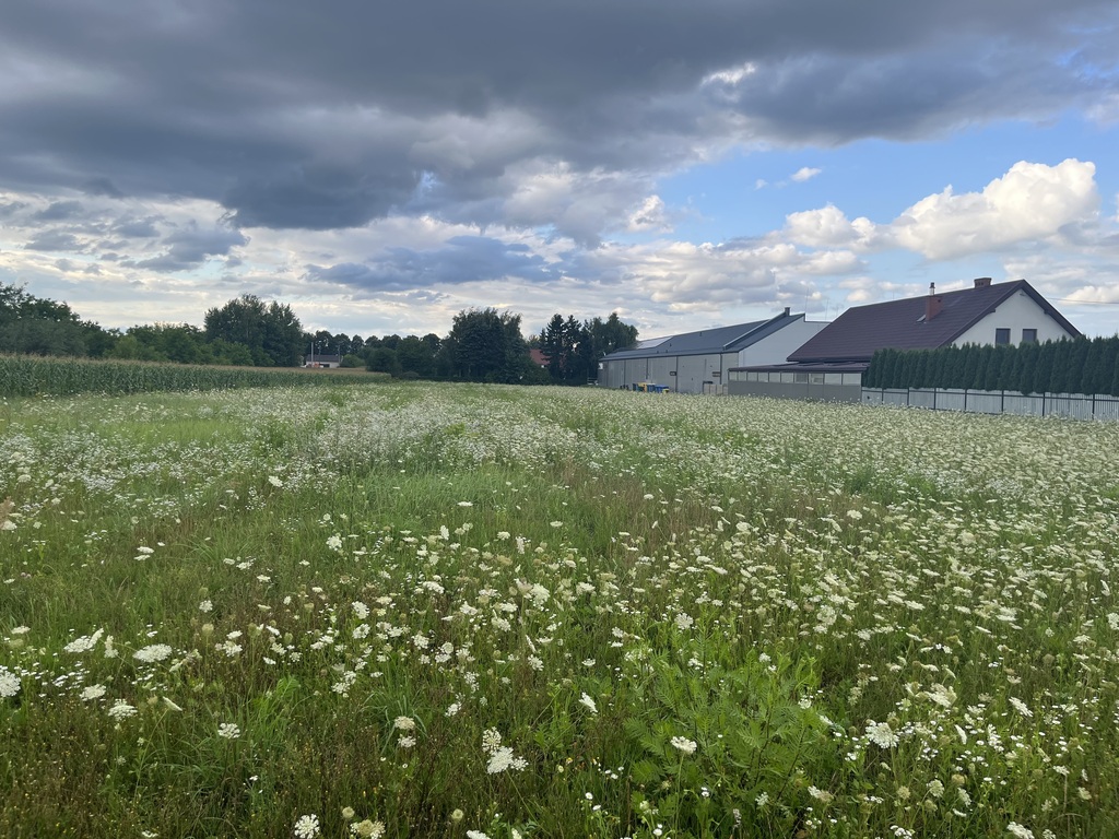 Działka inwestycyjna 6 354 m² w Zwoleniu