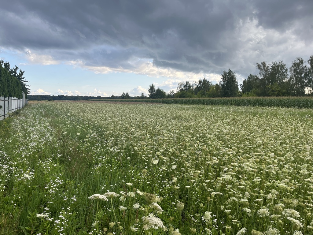 Działka inwestycyjna 6 354 m² w Zwoleniu
