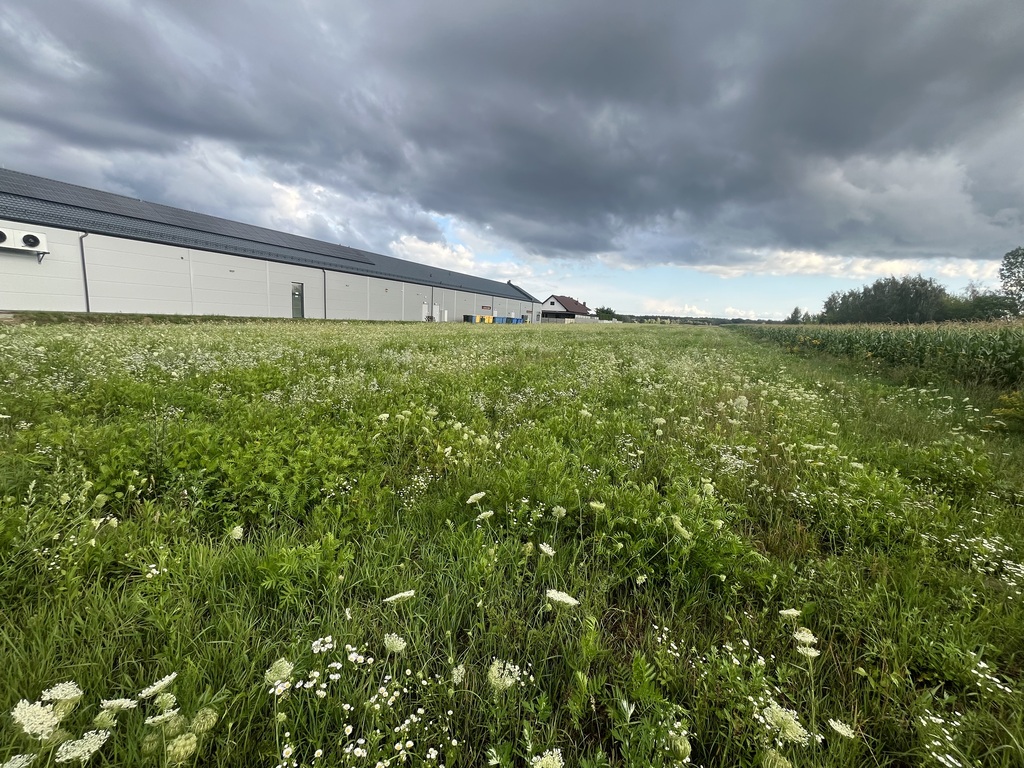 Działka inwestycyjna 6 354 m² w Zwoleniu
