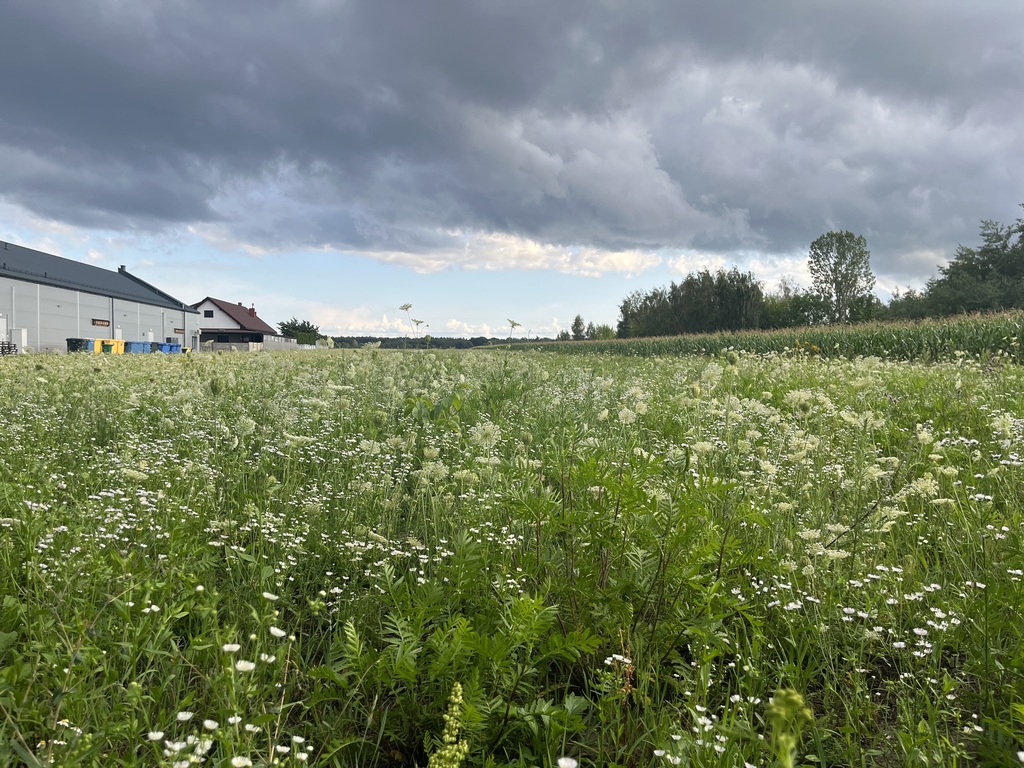 Działka inwestycyjna 6 354 m² w Zwoleniu