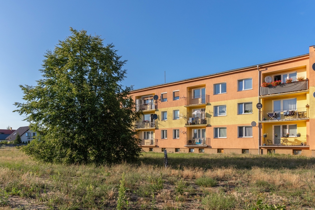 Twoja własna przestrzeń:2 pokoje + loggia |Trzciel