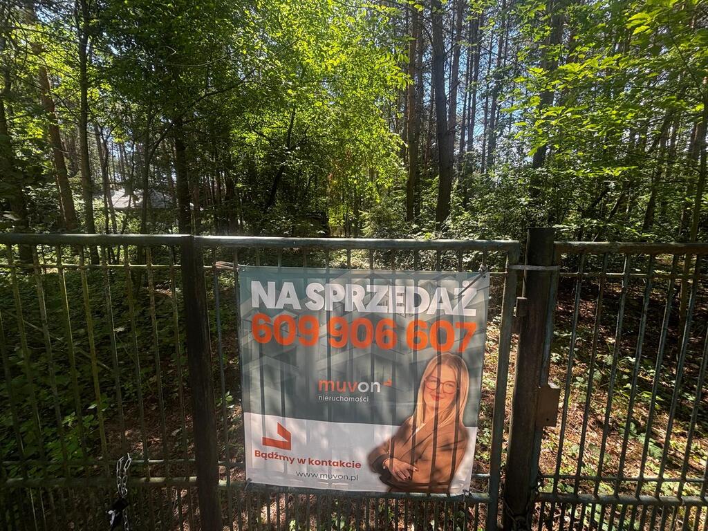 Tu las będzie Twoim sąsiadem|Wizualizacja