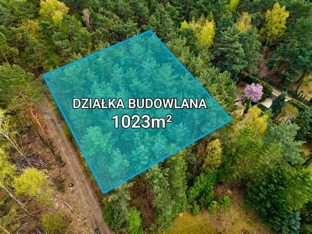 Tu las będzie Twoim sąsiadem|Wizualizacja