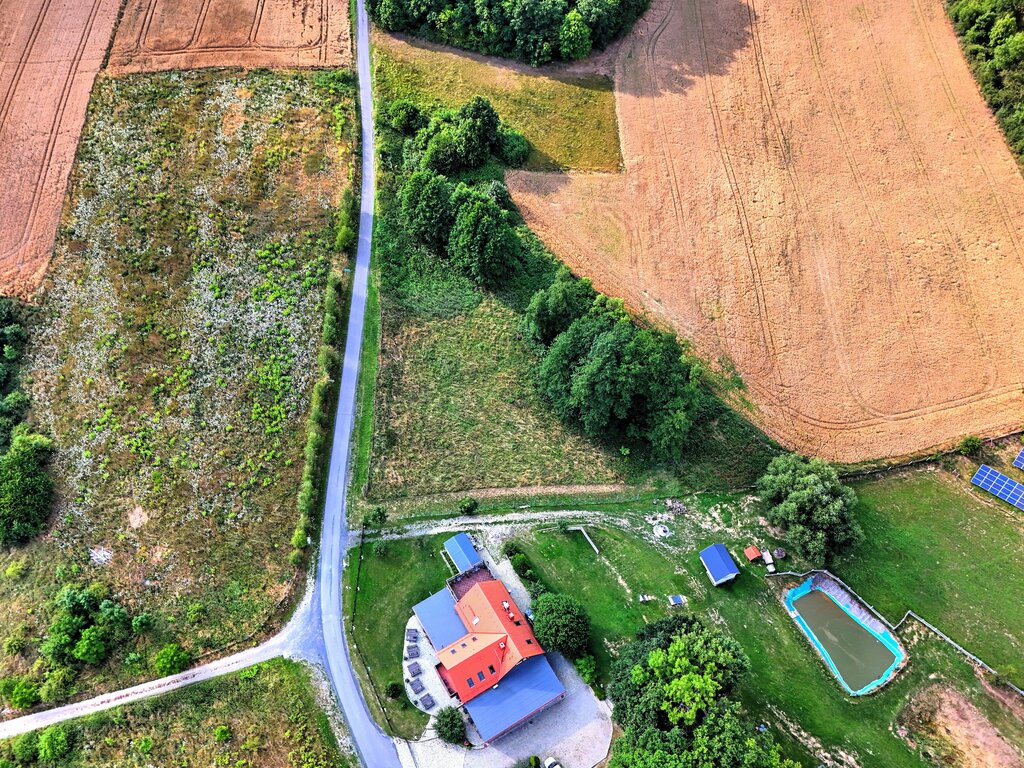 Myślinów | okolice Jawora