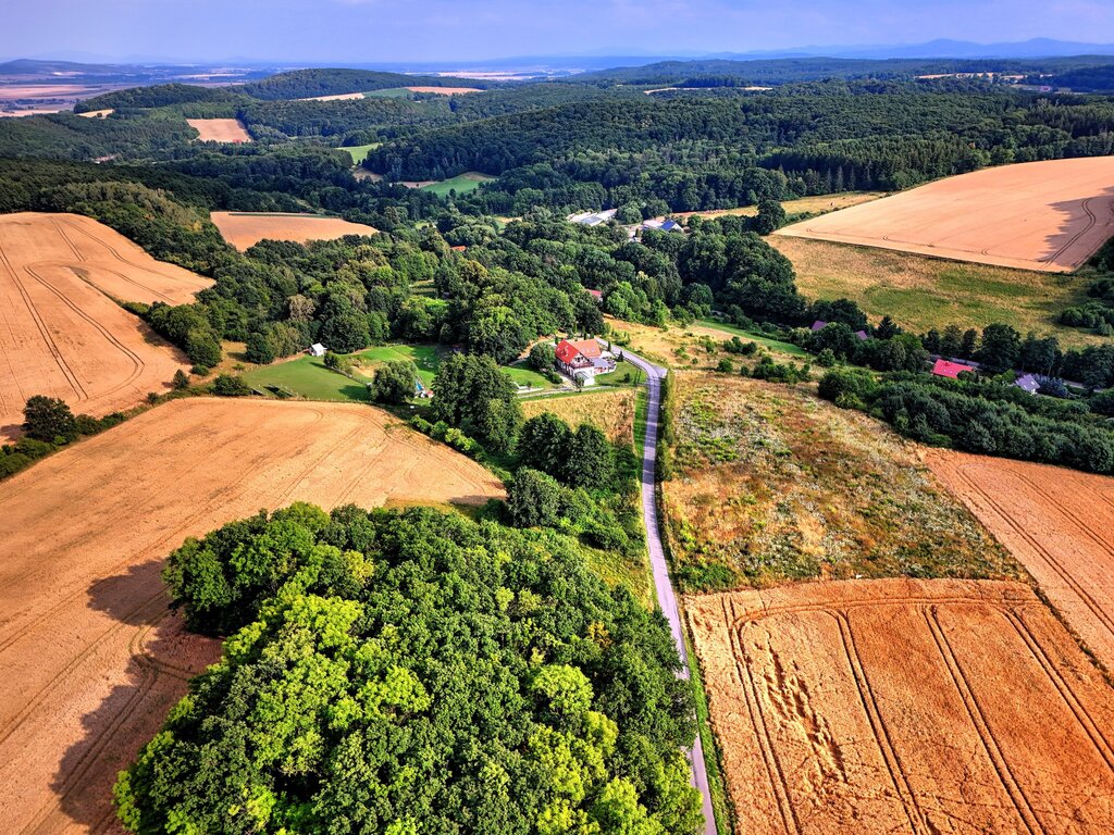 Myślinów | okolice Jawora