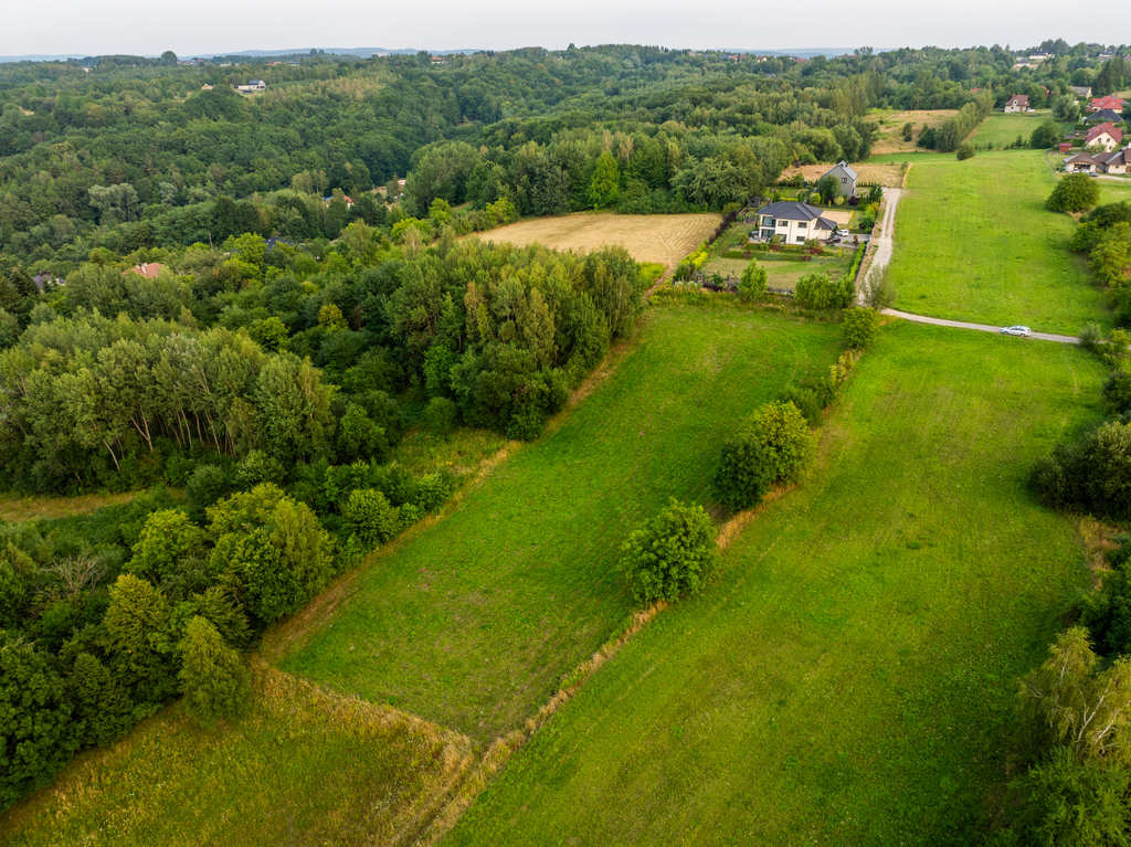 Widokowa działka Tyczyn - 1200m