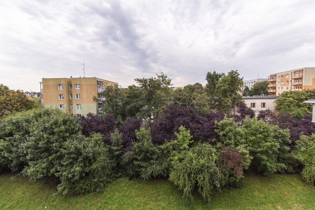 Sąsiedzi będą zazdrościć tego słonecznego salonu.