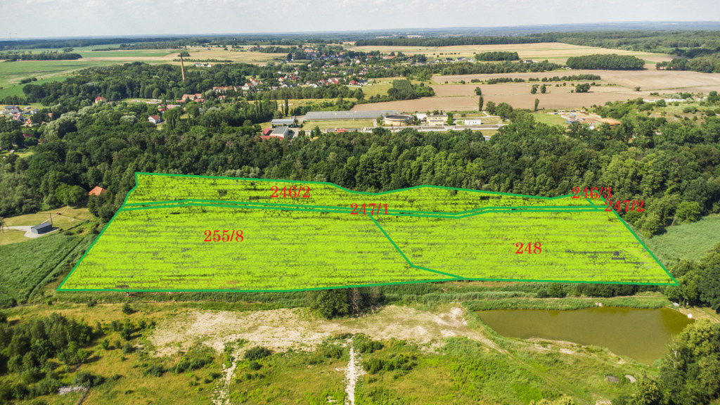 Prawie 7 ha w Żarach za 8,70 zł/m²