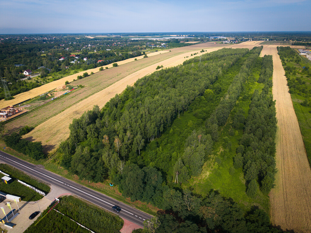 Działka inwestycyjna na sprzedaż – Dąbrówka Wielka