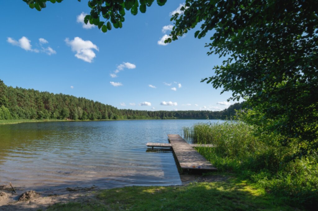 Domek nad jeziorem | Rybno | 350 m² działki