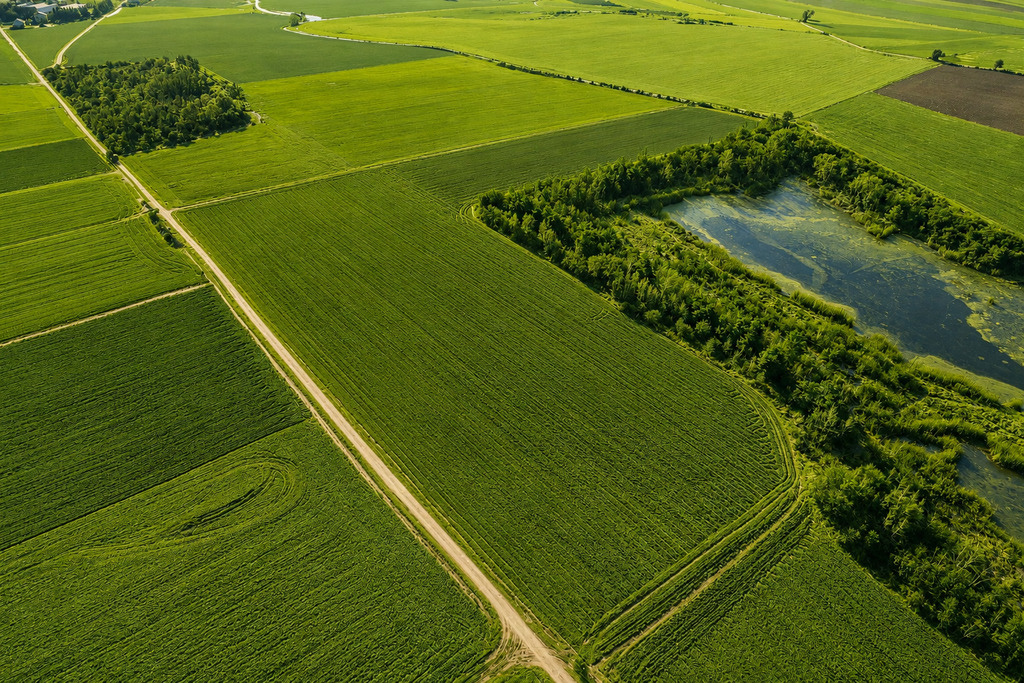 Na sprzedaż grunty rolne–Lenartowice gmina Pleszew
