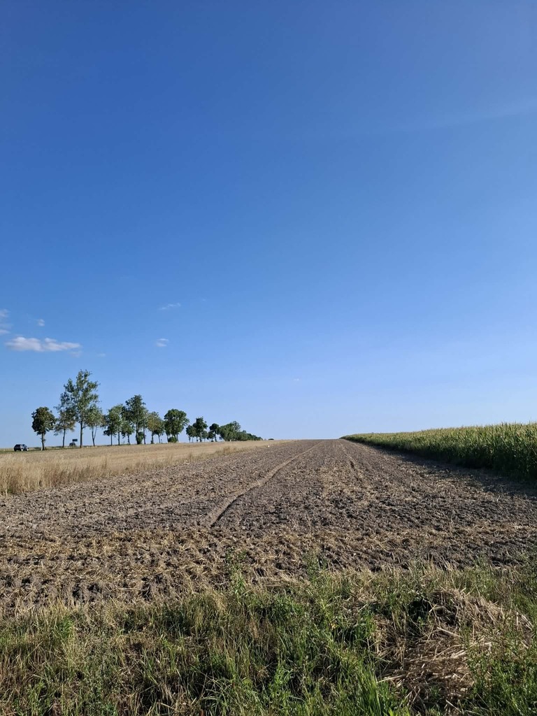 Kolejne 2,4 ha dla twojego gospodarstwa !!
