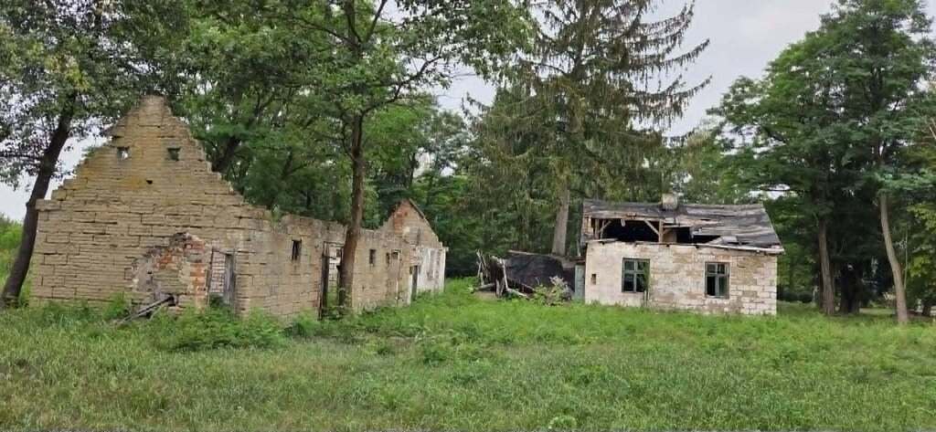 Inny wymiar życia! Zamień hałas na las