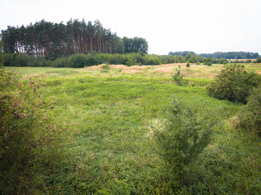 Działka budowlana 900 m², MPZP, droga utwardzona