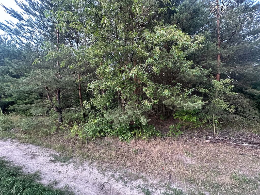 Rosanów, działka 3050m2, z ogromnym potencjałem.