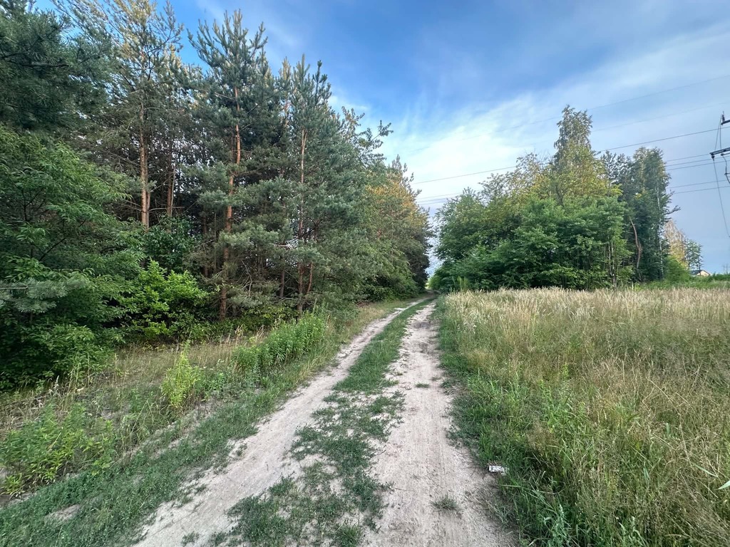 Rosanów, działka 3050m2, z ogromnym potencjałem.