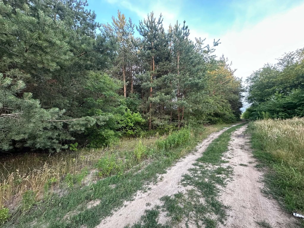 Rosanów, działka 3050m2, z ogromnym potencjałem.