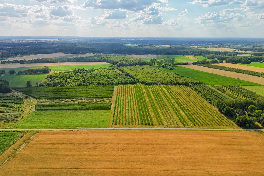 Przepiękna działka budowlana 5955m2 z WZ - OKAZJA!