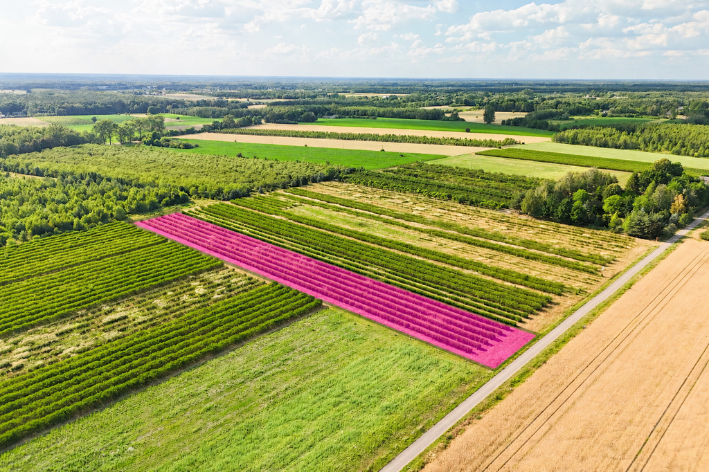 Przepiękna działka budowlana 5955m2 z WZ - OKAZJA!