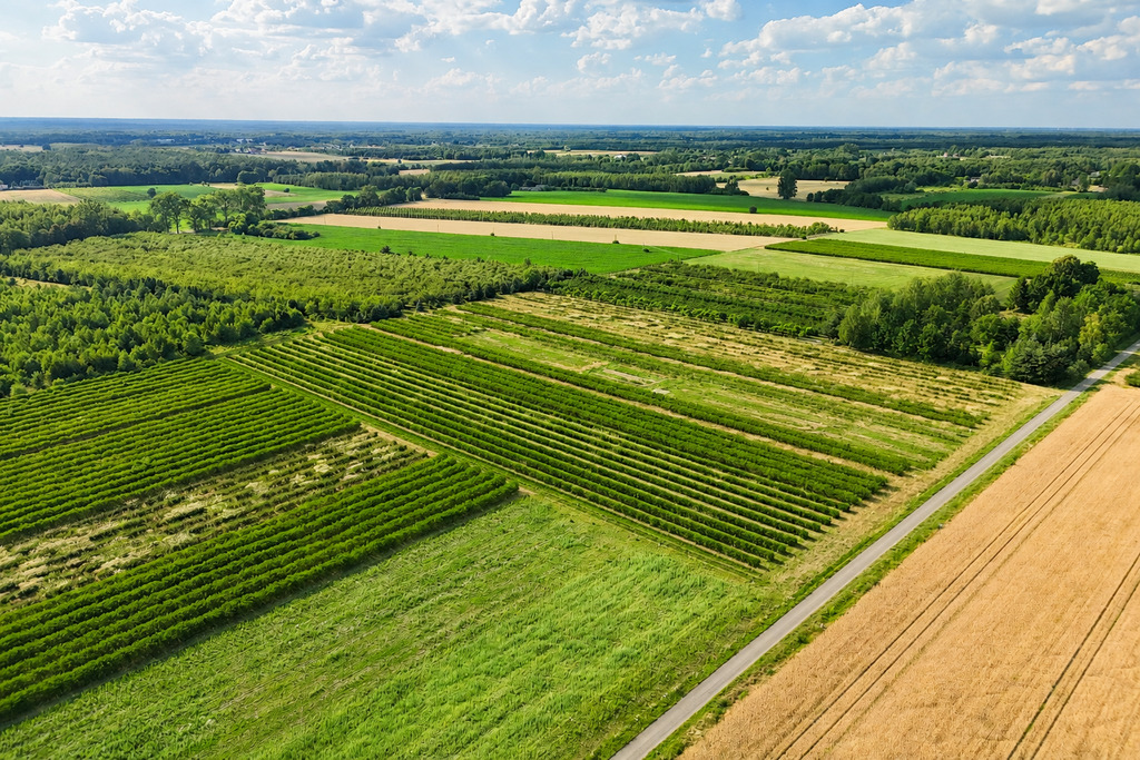 Przepiękna działka budowlana 5955m2 z WZ - OKAZJA!