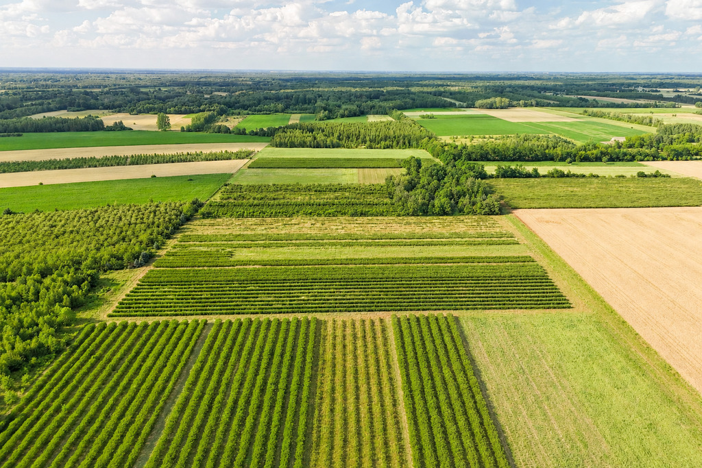 Przepiękna działka budowlana 5955m2 z WZ - OKAZJA!