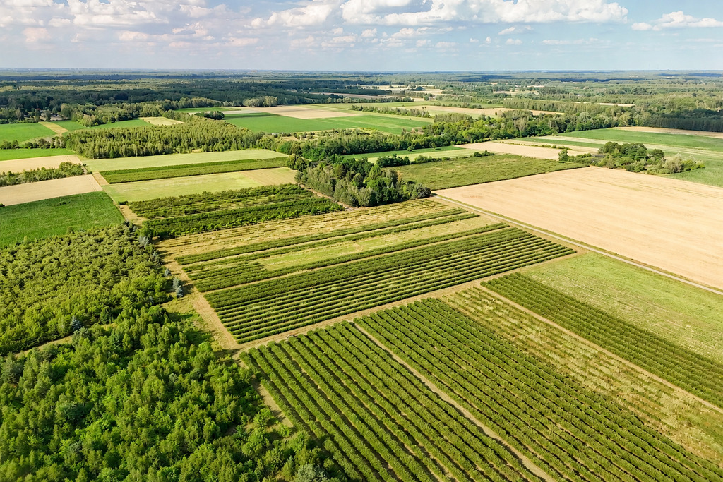 Przepiękna działka budowlana 5955m2 z WZ - OKAZJA!