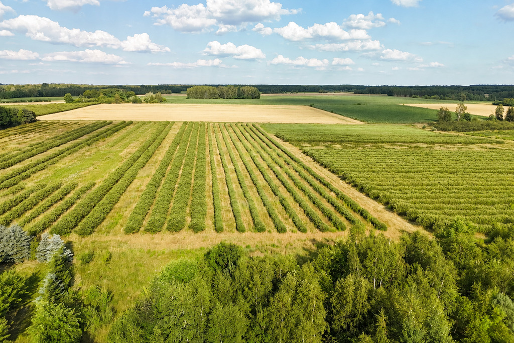 Przepiękna działka budowlana 5955m2 z WZ - OKAZJA!