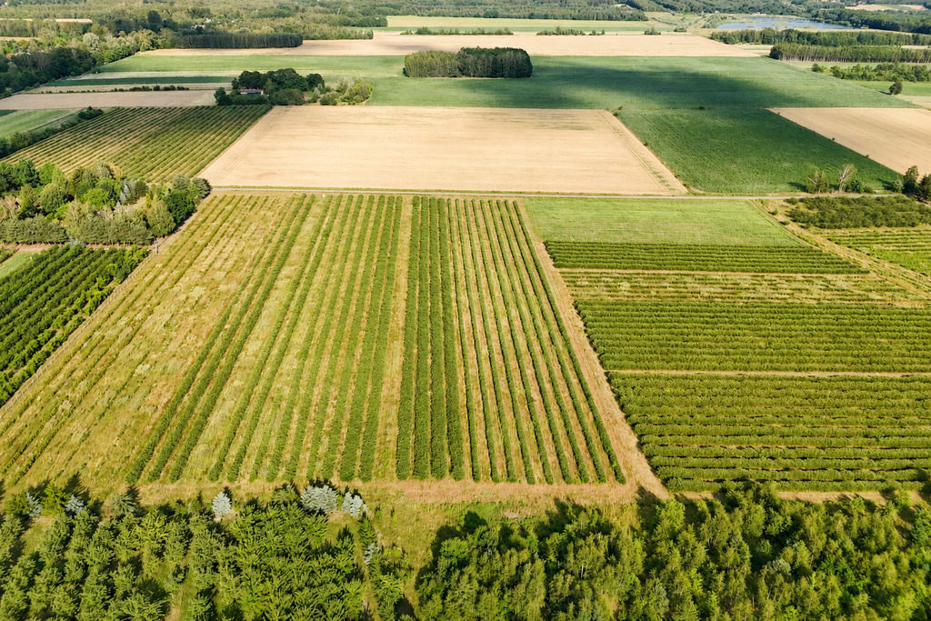 Przepiękna działka budowlana 5955m2 z WZ - OKAZJA!