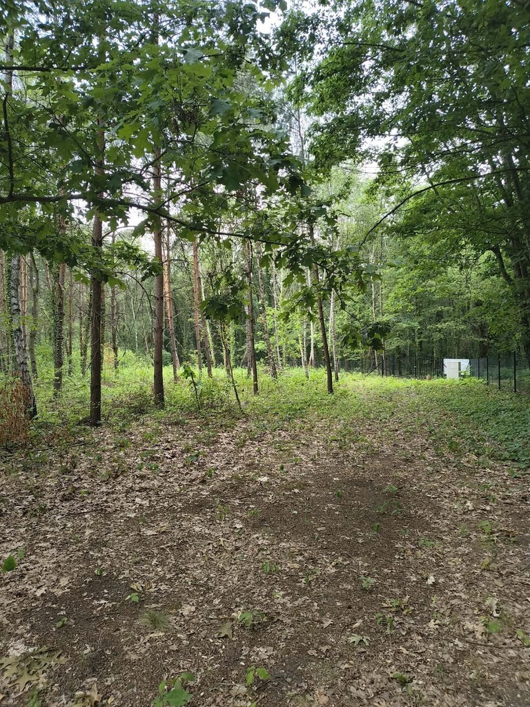 OKAZJA 160zł/m2 Sokolniki- Las