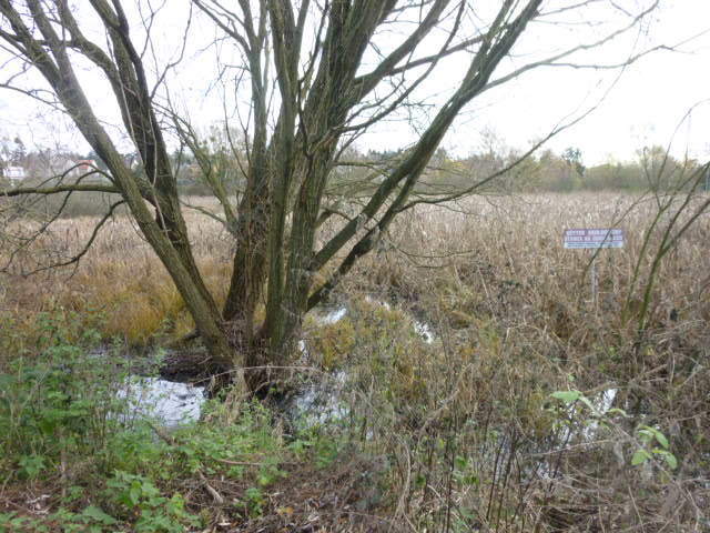 Działka Gumieńce 1.0593 ha