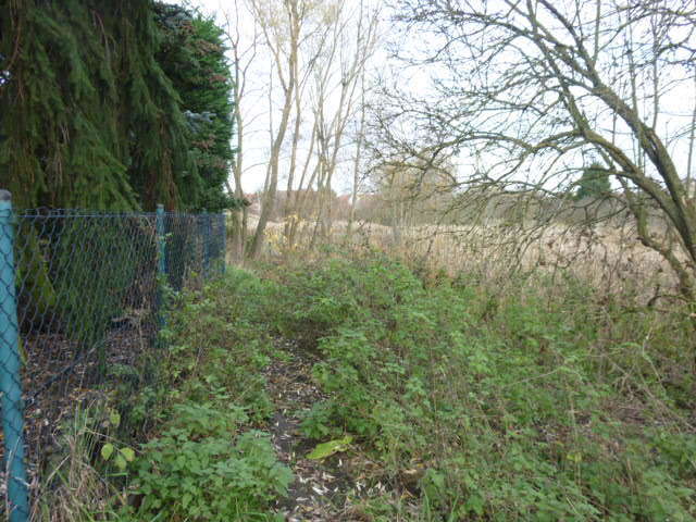 Działka Gumieńce 1.0593 ha