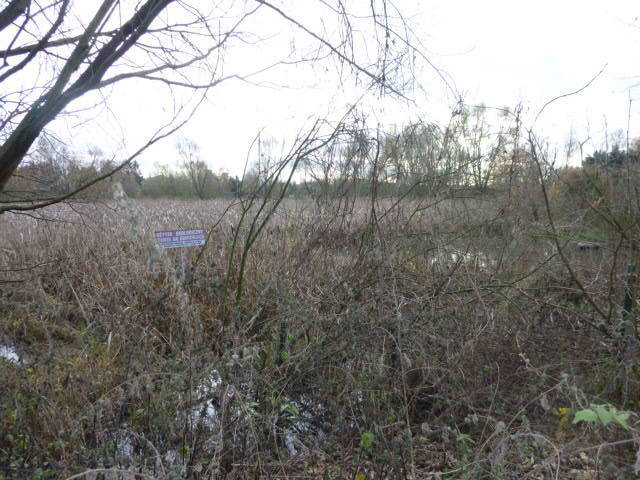 Działka Gumieńce 1.0593 ha