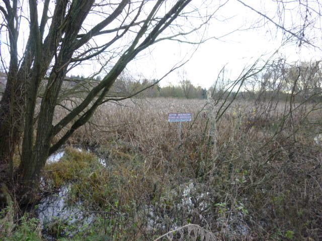 Działka Gumieńce 1.0593 ha